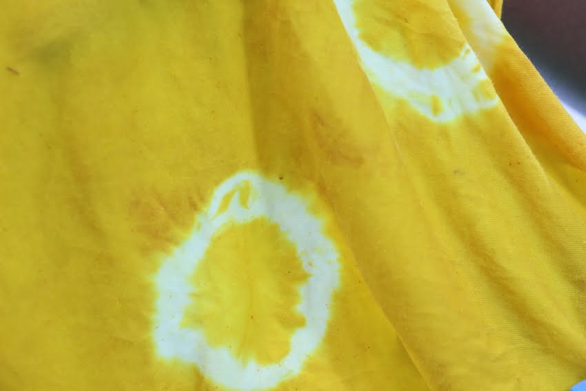 Teinture naturelle 6