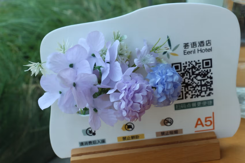 Expérience à Shenzhen 9 Shenzhen 8