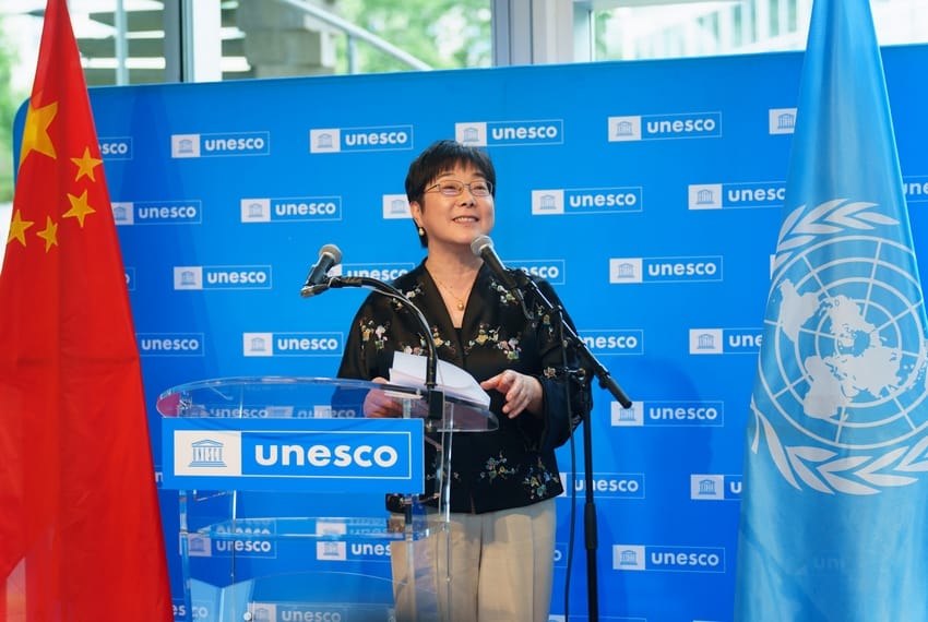 Gout de la Chine 2 b