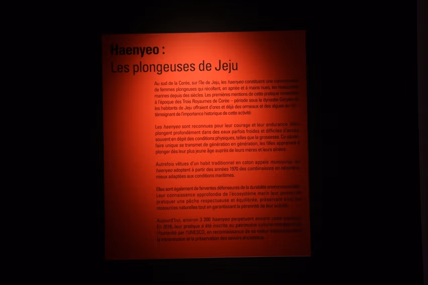Ile de Jeju 2