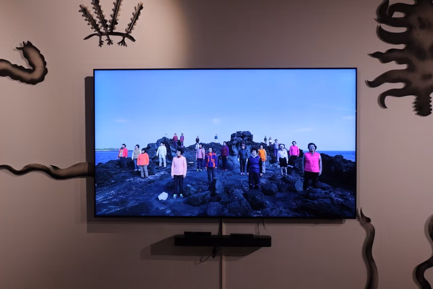 Ile de Jeju 5