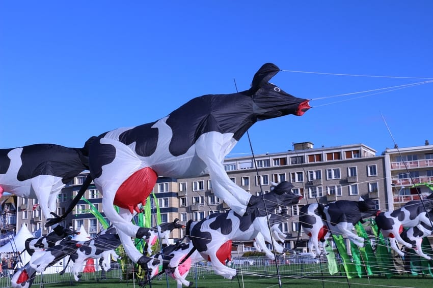 Festival Cerf volant 9