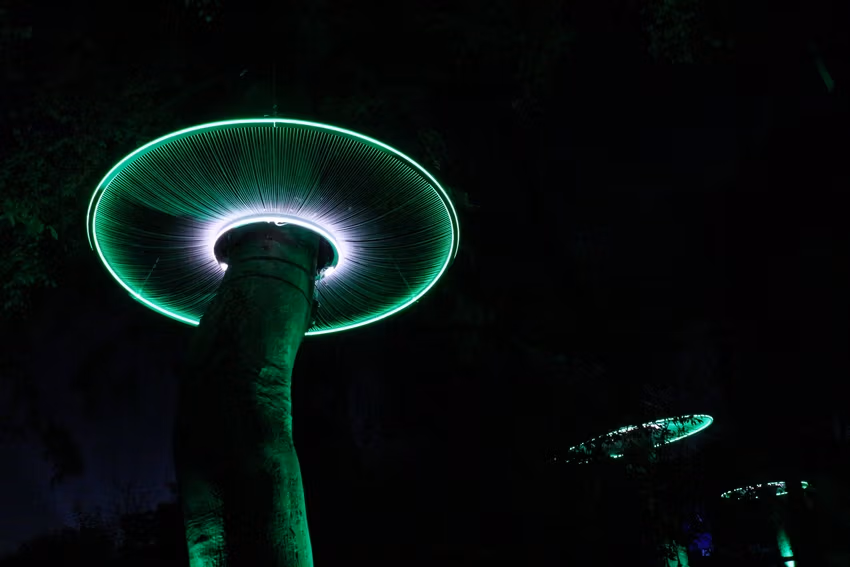 Lumieres de la Nature 4