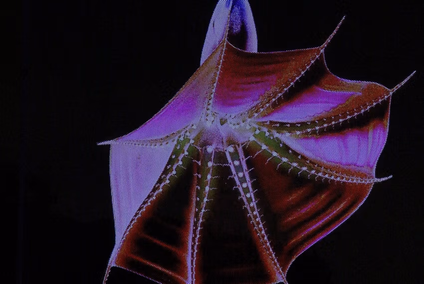 Lumieres de la Nature 5