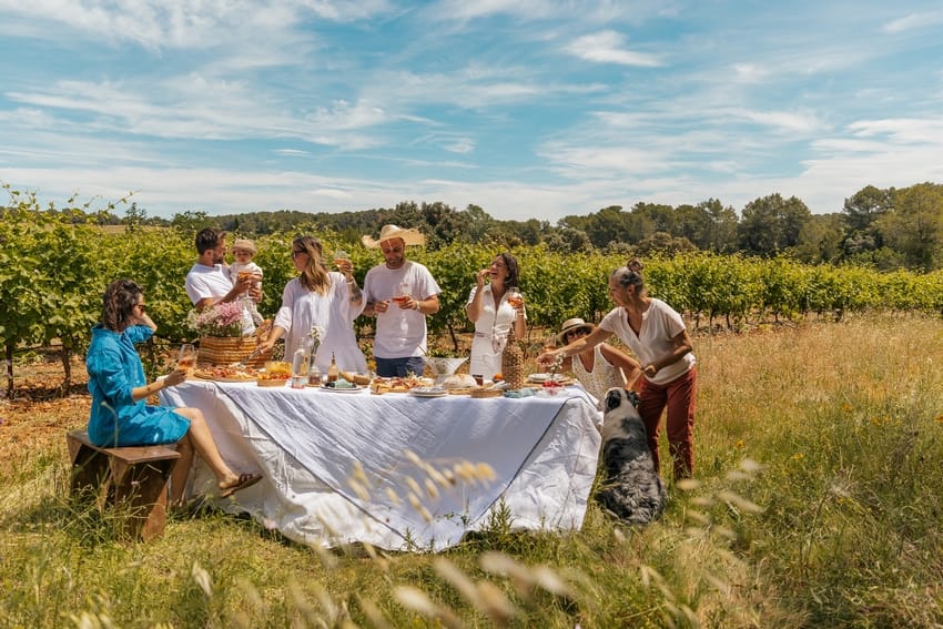 vignobles en scene 2