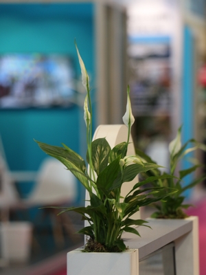 Lire la suite à propos de l’article IFTM  2026